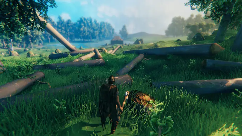 valheim_echo_002: Log_By_Log